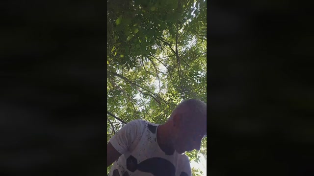 emanuele033  30-07-2022